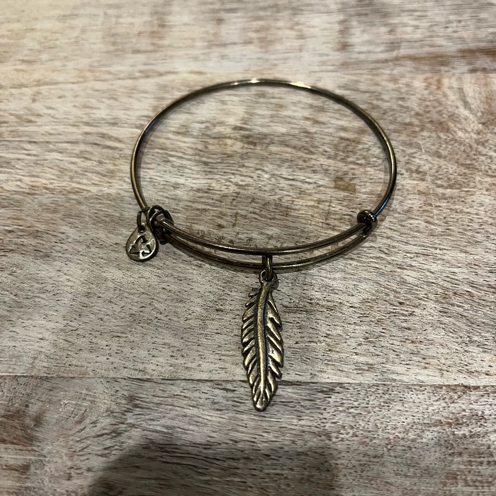 Alex and Ani Feather Charm Bracelet